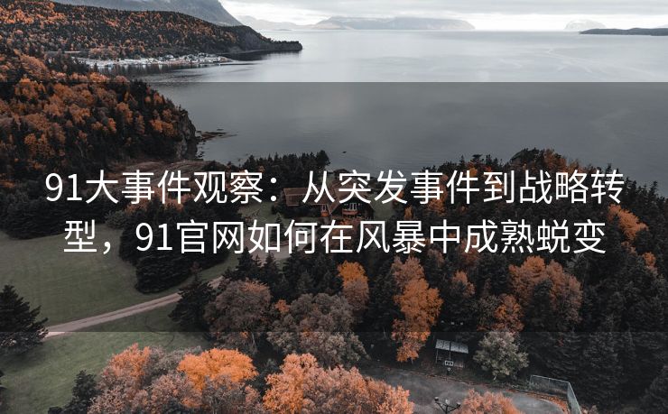 91大事件观察:从突发事件到战略转型,91官网如何在风暴中成熟蜕变 91大事件观察:从突发事件到战略转型,91官网如何在风暴中成熟蜕变