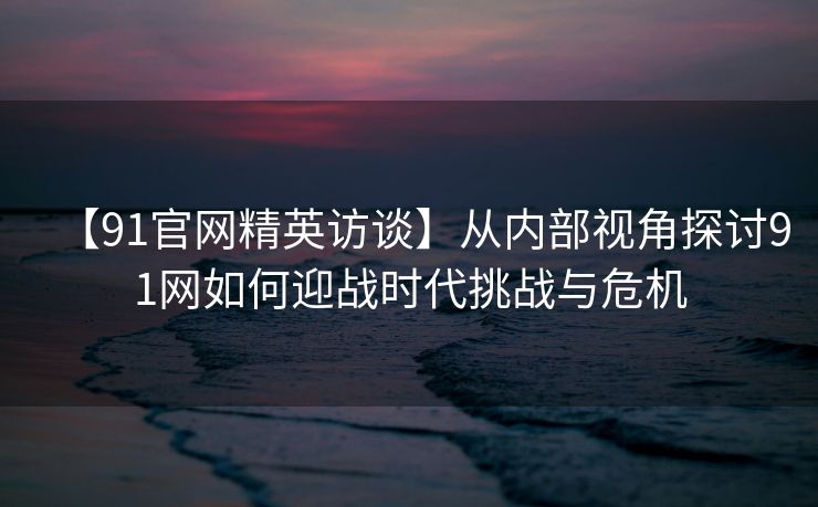 【91官网精英访谈】从内部视角探讨91网如何迎战时代挑战与危机
