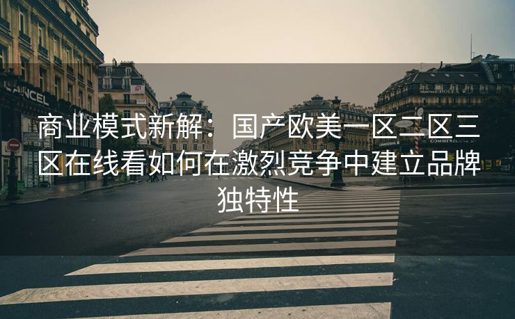商业模式新解：国产欧美一区二区三区在线看如何在激烈竞争中建立品牌独特性